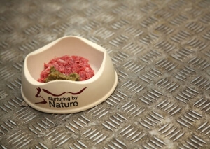 Minced Raw Dog Food in a bowl